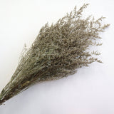 Darrahopens Home & Garden Misty Natural