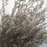 Darrahopens Home & Garden Misty Natural