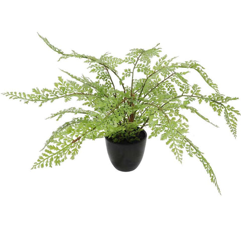 Darrahopens Home & Garden > Shading > Canopies & Gazebos Faux Small Potted Fern 35cm