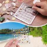 Darrahopens Home & Garden > Storage > Storage Boxes Acrylic Magnetic Seashell Display Box,Clear Sea Shell Display Box,Beach Magnet Storage Organizer Case for Seashell Diamond Beads,100 Grids,Transparent,1 Pack