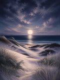 Moonlit Dunes Stretched Canvas Wall Art - Portrait - 60W x 120H cm In Australia - Darrahopens