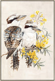 Darrahopens Home & Garden > Wall Art > Posters, Paintings & Prints Kookaburra & Golden Wattle Framed Artwork 120cm