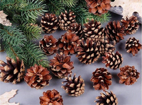 Darrahopens Occasions > Christmas 18 Christmas Natural Pine Cones Xmas Tree Hanging Home Decoration Ornament Gifts, 18x Natural Pinecones