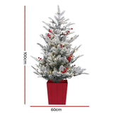 Darrahopens Occasions > Christmas > Christmas Trees Jingle Jollys Christmas Tree 1M LED Potted Xmas Party Decor Red Barries Flocked
