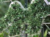 Darrahopens Occasions > Christmas > Outdoor Decorations & Lights Samland 5.5m Merry Christmas Sign Led Rope Light Commercial