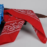 Darrahopens Occasions > Costumes > Costumes & Accessories 20x BANDANA Paisley 100% COTTON Head Wrap Durag Bandanna Scarf Mask BULK - Assorted Colour Pack