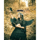 Darrahopens Occasions > Costumes > Costumes & Accessories Black wings and halo devil wings for kids black wing feather wings for Halloween