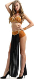 Darrahopens Occasions > Costumes > Costumes & Accessories Princess Leia Captive Adult Costume Halloween Cosplay Black M Size Womens Sexy Costume