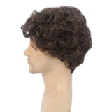 Darrahopens Occasions > Costumes > Costumes & Accessories Short Black Men's Wig with Curly and Fluffy Wigs, Natural Synthetic Wigs for Men, Daily Party Wear for Men Brown 10 Inch