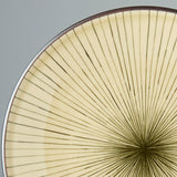Darrahopens Occasions > Disposable Tableware > Disposable Plates Dinner Plate 25cm Green Converging Line Glaze