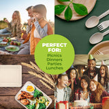 Darrahopens Occasions > Disposable Tableware Party Central 144PCE Serving Tray/Plate/Dish Eco-Friendly Recyclable 285mm