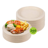 Darrahopens Occasions > Disposable Tableware Party Central 240PCE Dinner Plate Round Eco-Friendly Strong Recyclable 22.5cm