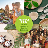 Darrahopens Occasions > Disposable Tableware Party Central 240PCE Dinner Plate Round Eco-Friendly Strong Recyclable 22.5cm