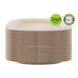 Darrahopens Occasions > Disposable Tableware Party Central 240PCE Dinner Plates Oval Eco-Friendly Recyclable Durable 23cm