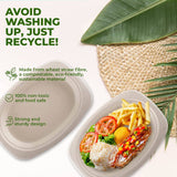 Darrahopens Occasions > Disposable Tableware Party Central 240PCE Dinner Plates Oval Eco-Friendly Recyclable Durable 23cm