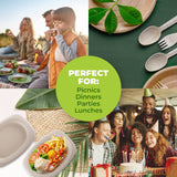 Darrahopens Occasions > Disposable Tableware Party Central 240PCE Dinner Plates Oval Eco-Friendly Recyclable Durable 23cm