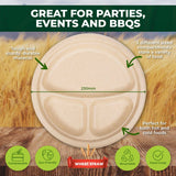 Darrahopens Occasions > Disposable Tableware Party Central 360PCE Dinner Plates 3 Sections Eco-Friendly Disposable 23cm