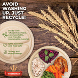 Darrahopens Occasions > Disposable Tableware Party Central 360PCE Dinner Plates 3 Sections Eco-Friendly Disposable 23cm