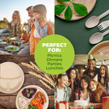 Darrahopens Occasions > Disposable Tableware Party Central 360PCE Dinner Plates 3 Sections Eco-Friendly Disposable 23cm