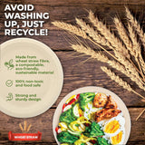 Darrahopens Occasions > Disposable Tableware Party Central 360PCE Dinner Plates Round Strong Eco-Friendly Disposable 23cm