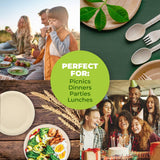 Darrahopens Occasions > Disposable Tableware Party Central 360PCE Dinner Plates Round Strong Eco-Friendly Disposable 23cm