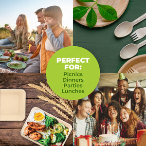 Darrahopens Occasions > Disposable Tableware Party Central 360PCE Serving Tray/Plate/Dish Eco-Friendly Recyclable 190mm