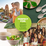 Darrahopens Occasions > Disposable Tableware Party Central 480PCE Bowls Salad Soup Eco-Friendly Recyclable Durable 220ml