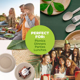 Darrahopens Occasions > Disposable Tableware Party Central 480PCE Dessert Plates Eco-Friendly Recyclable Durable 11.8cm