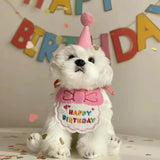 Darrahopens Occasions > Party & Birthday Novelties > Party Supplies 4-Pack Adorable Pet Dog Cat Birthday Party Hat & Bib Set(Pink & Light Blue) - Embroidered Bandana Bib & Felt Party Hat, Adjustable Tie-On Dress-Up Accessories