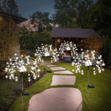 Darrahopens Occasions > Party Lights > Coloured Lights Solar Firework Lights, Garden Lights 4 Pack 120 LED Decorative Lights, Solar DIY Decorative Starburst Lights (Cool White) In Australia - Darrahopens