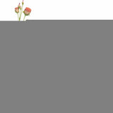 Darrahopens Occasions > Wedding Accessories > Other Wedding Decorations Oasis Floral Foam Block for Artificial Flower Arrangements, Wet and Dry Foam Wedding Accessories