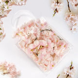 Darrahopens Occasions > Wrapping Paper & Gift Bags > Gift Bags 10-Pack Clear Gift Bags - with Handles - Mini Party Gift Bags - Clear Gift Bags, 5.9 x 6.29 Inches - Candy Bags - Gift Bags