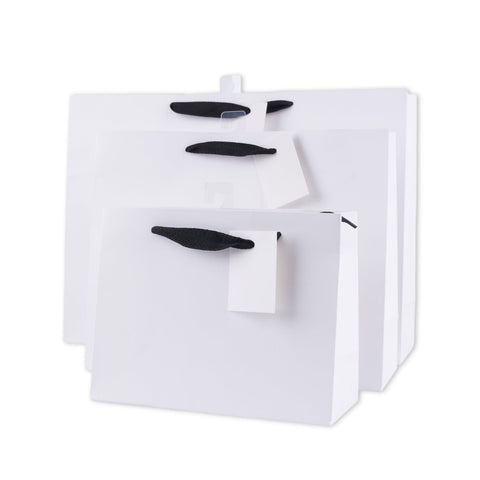 Darrahopens Occasions > Wrapping Paper & Gift Bags > Gift Bags bulk 24 Large Landscape Gift Bags w Handle 26x32cm