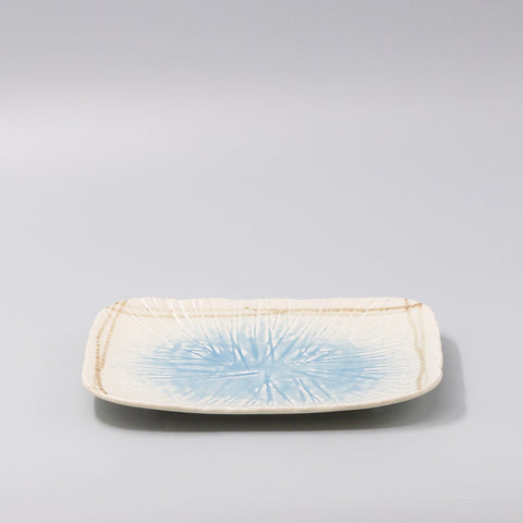 Darrahopens Outdoor Recreation > Boating > Boating Accessories Sushi Platter 25.8x19.8cm Okinawa Glaze