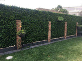 Darrahopens Outdoor Recreation > Camping > Caravan Accessories Luxury Spring Sensation Hedge Screen Green Wall Panel UV Resistant 100cm x 100cm