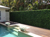 Darrahopens Outdoor Recreation > Camping > Caravan Accessories Luxury Spring Sensation Hedge Screen Green Wall Panel UV Resistant 100cm x 100cm