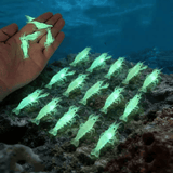 Darrahopens Outdoor Recreation > Fishing > Fishing Tackle Glow-in-the-Dark Shrimp Lure 20-Piece Box Set | Night Fishing Essential, Soft Plastic Lure with Hooks, Suitable for Freshwater and Saltwater, Ideal for Bass/Trout/Crappie/Walleye/Redfish