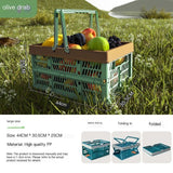 Darrahopens Outdoor Recreation > Picnic > Picnic Baskets Folding picnic basket-Green with Brown