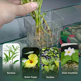 Darrahopens Pet Care > Aquarium > Aquarium Decor 2pc Aquarium Plant Holder Clear Hanging Aquatic Planters with Hooks for Fish Tank Decor