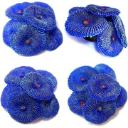 Darrahopens Pet Care > Aquarium > Aquarium Decor Artificial Coral, 4 Pieces, Fake Coral, Aquarium Decorations, Aquarium Corals For Aquarium Decoration (Coral Blue)