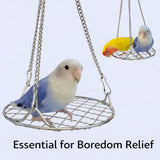 Darrahopens Pet Care > Bird > Bird Cage Accessories Stainless Steel Bird Toys - Small Pet Toys - Hanging Bird Cage Accessories - Suitable for Various Birds - For Balance Training of Small Parrots, Hamsters, etc.