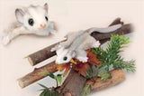 Darrahopens Pet Care > Bird > Bird Cages & Stands Feather Tail Glider 22cm L