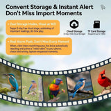 Darrahopens Pet Care > Bird > Bird Cages & Stands Smart Bird Feeder with 2K-4K Ultra HD AI Bird Recognition, Solar-Powered Outdoor Camera Feeder for Garden, Balcony, or Tree Mounting, Ideal for Bird Watching Enthusiasts and Backyard Wildlife Lovers (1080P, Khaki) In Australia - Darrahopens