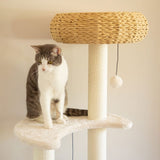 Darrahopens Pet Care > Cat Supplies 5-Platform Plush and Wicker Cat Tree