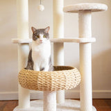 Darrahopens Pet Care > Cat Supplies 5-Platform Plush and Wicker Cat Tree