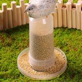 Darrahopens Pet Care > Cat Supplies > Cat Bowls, Feeders & Waterers Automatic Bird Feeder Chicken Pigeon Parrot Drinker Water Dispenser Feeder