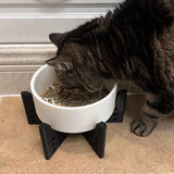 Darrahopens Pet Care > Cat Supplies > Cat Bowls, Feeders & Waterers Elevator Pet Bowl, Neck Support Food Bowl, Easy to Clean (Elevator Cat Bowl), Black and White