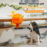 Darrahopens Pet Care > Cat Supplies > Cat Bowls, Feeders & Waterers Pet Puzzle Spinning Feeder: 360° Slow Feeding Portion Control, Clip-On Installation, Eat While Playing/the little orange In Australia - Darrahopens