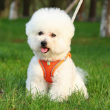 Pet Cat Harness and Leash Set Breathable Vest with Reflective Strip for Kitten Walking Traveling Orange - S