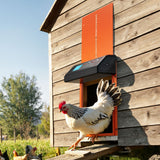 Darrahopens Pet Care > Cat Supplies > Cat Carriers & Crates VEVOR Automatic Chicken Coop Door, Battery Powered Chicken Coop Door with Timer & Manual Setting, Anti-Pinch Security, Durable Aluminum Alloy, Chick Run Gate Opener with Waterproof Sealing, Orange